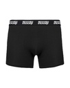 BOXER - LETRAS