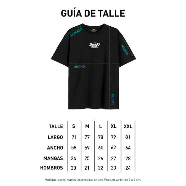 Remera Snow Tee